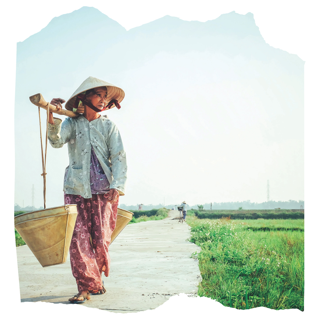 Farmer in Vietnam rice fields